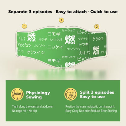 Hanpo Japanese Herbal Patch Pad